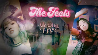 TWICE- Alcohol Free + The Feels ( Award Show Perf. Concept)