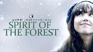 MUSIC FROM OTHER WORLDS "Spirit of the forest" The Most Beautiful Soundtracks Mix 2019