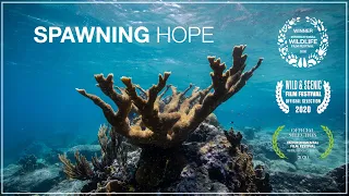Spawning Hope