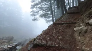 A spooky encounter in the woods with the unknown in Naggar, Himachal Pradesh, India.