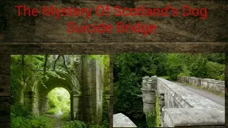 The Mystery Of Scotland’s Dog Suicide Bridge in hindi