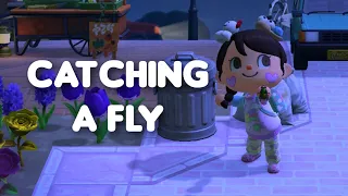 catching a fly in ACNH