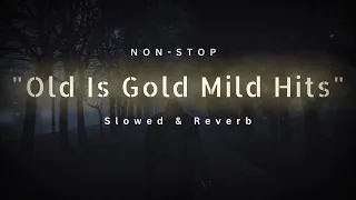 Old is Gold 1990s lofi song (slow and Reverb) #lofimusic  #slowedandreverb