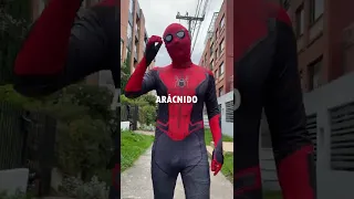 ¿CUÁL ES EL VERDADERO SPIDERMAN?