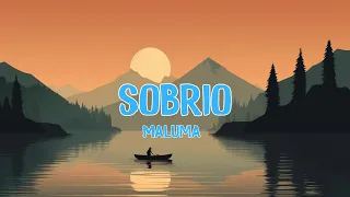 🎶Maluma - Sobrio (Letra/Lyrics) | Libra Letra