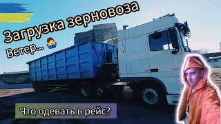 Новая) загрузка ЗЕРНОВОЗА + ВЕТЕР... Что я одеваю в РЕЙС? №136 #дальнобойукраина