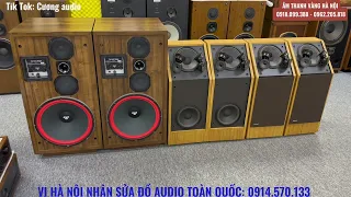 ĐỪNG SỢ, NẾU LOA BOSE CỦA BẠN KHÔNG NHƯ THẾ NÀY