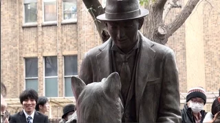 Unveiling of statue depicting Hachi and his owner