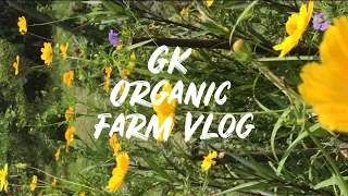 GK Organic Farm // V L O G