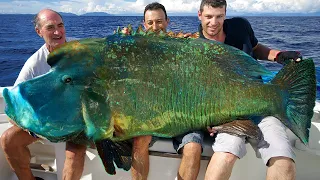 10 Most Bizarre Things Caught By Fishermen!