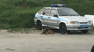 БЕСПРЕДЕЛ ППС Казбековский район РД (Аркабаш)