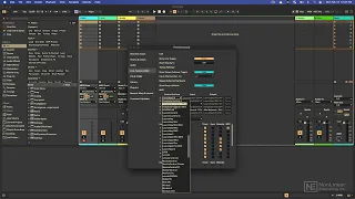 Ableton Live 12 101: Essential Beginners Guide - Preferences