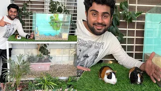 Aaj hamare coco or Guinea pig ka setup complete ho gya 🐹