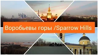 Прогулка по Москве/Смотровая площадка Воробьевы горы/Sparrow Hills/View on Moscow