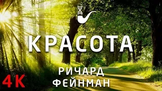 Фейнман - Красота | 4к | Озвучка TechKnowledge