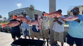 DEAD Snapper season 2020 ~ FUNNIEST group I fished with ALL YEAR