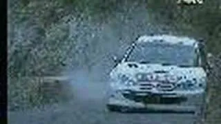 rally accident peugeot 206 wrc de gilles panizzi