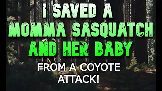 I SAVED A MOMMA SASQUATCH AND HER BABY FROM A COYOTE ATTACK!