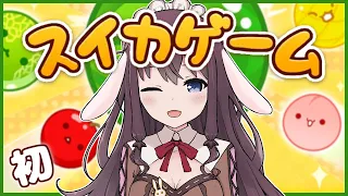 【スイカゲーム】初めてでもスイカになれますか!?【Vtuber/なちゅモカ/ライブ配信】