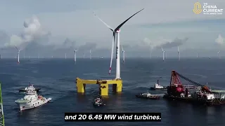 The Largest Offshore Wind Farm