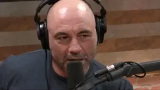 Joe Rogan | The Importance of Nuance