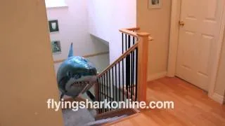 Amazing flying shark / flying fish!