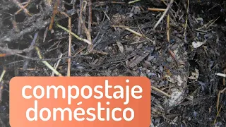 🥀 Extra COMPOSTAJE DOMÉSTICO ⇢ directo preguntas y respuestas