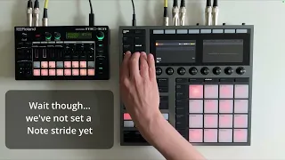 Maschine Plus - Auto Sampling the Roland MC101