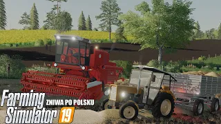 Żniwa na Swojskich Polach z Bizonem ✔ ☆Bizon Z056 Ursus c355☆ Swojskie Pola FS19