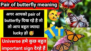 pair of butterflies meaning | pair of butterfly | seeing pairs of butterfly in law of attraction ❤️🦋