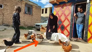 Documentary of Everyday Events and Challenges in the Nomadic Family Life