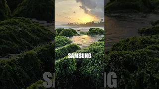 Sony Xperia 1 V vs Samsung S23 Ultra #sonyxperia1 #samsungs23ultra #mobilephotography #Sony #samsung