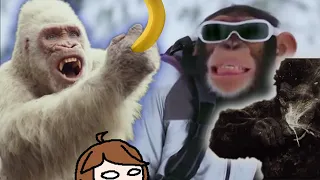 The Wacky World of Monkey Movies (Vol. 1)