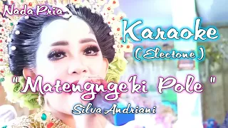 Karaoke Matengnge'Ki Pole - Silva Adriani Nada Pria (Original Electone Alink Music)