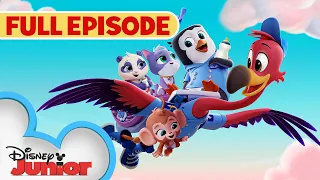 You've Gotta Be Kitten Me 🐱/Whale, Hello There 🐳 | S1 E1 | Full Episode | T.O.T.S. | @disneyjunior