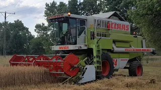 Nowy nabytek ☆ Claas Mega 204 ☆ pierwszy wyjazd w owies