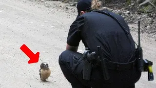 This Little Chick Tried to Save His Mom! Animals That Asked People For Help & Kindness