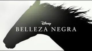 Película Belleza negra Para descargar completa en HD