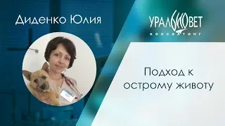 Подход к острому животу. Диденко Юлия #убвк_терапия