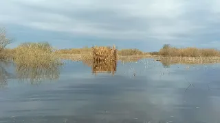 Блокпост  готов . Ни один селезень мимо не пролетит .