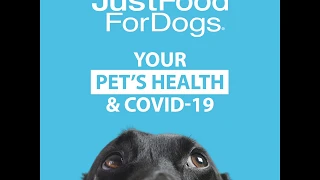 Your Pet's Health & COVID-19: What Pet Parents Need to Know