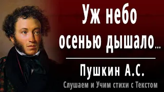 А.С. Пушкин "Уж небо осенью дышало" (отрывок из - Евгений Онегин) - Слушать и Учить аудио стихи