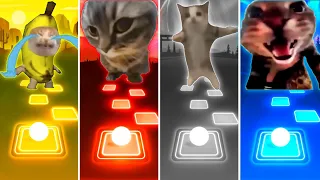 Banana Cat vs Chipi Chipi Chapa Chapa Cat vs Happy Cat vs Doorbell Cat - Tiles Hop EDM Rush