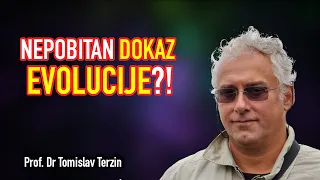 Tomislav Terzin - NEPOBITAN DOKAZ EVOLUCIJE?!