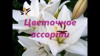 Цветочное ассорти слайд-шоу.wmv