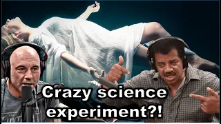 "Out of body near Death Experience" - Joe Rogan & Neil deGrasse Tyson