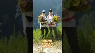 Старая японская дорога