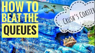 Crush’s Coaster - How to beat the Queues