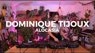 Sesiones Alocasia - Dominique Tijoux [Dj Set] | #deephouse #minimal