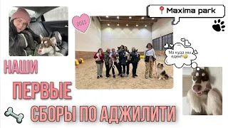 VLOG: Сборы по аджилити в Maxima Park 💪🏻🐶😍